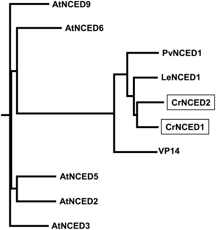 Figure 2.