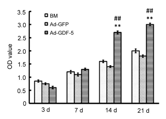 Fig. 9