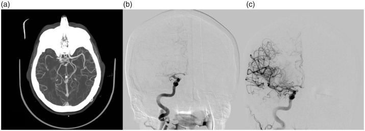 Figure 1.