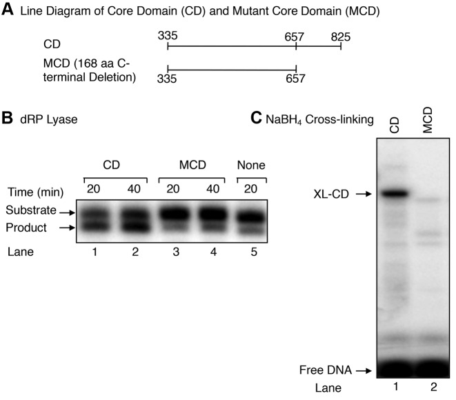 Figure 7.