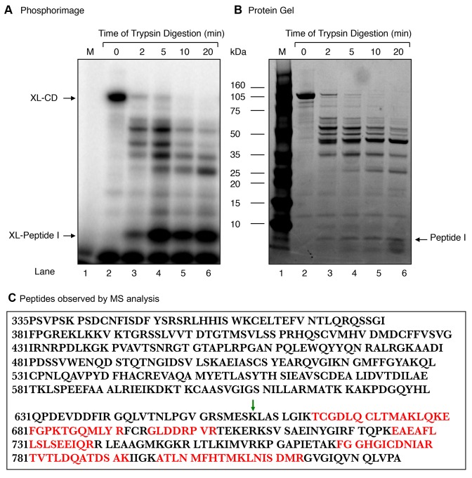 Figure 6.