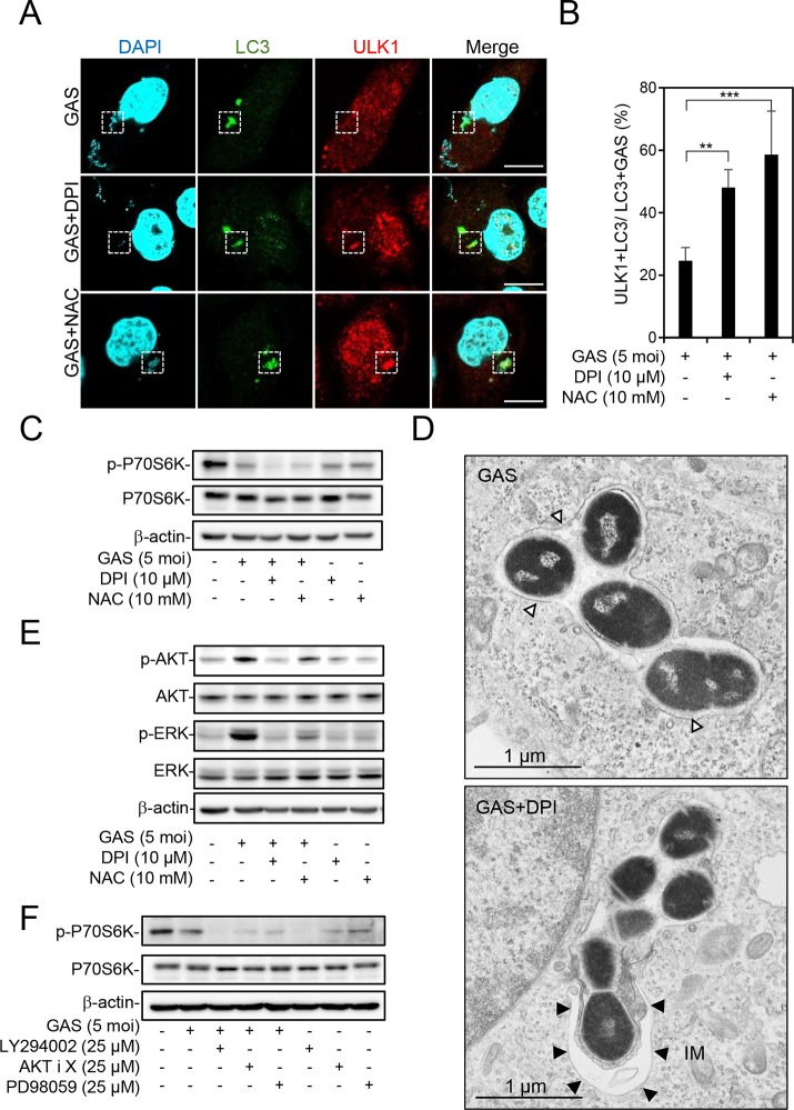 FIG 3