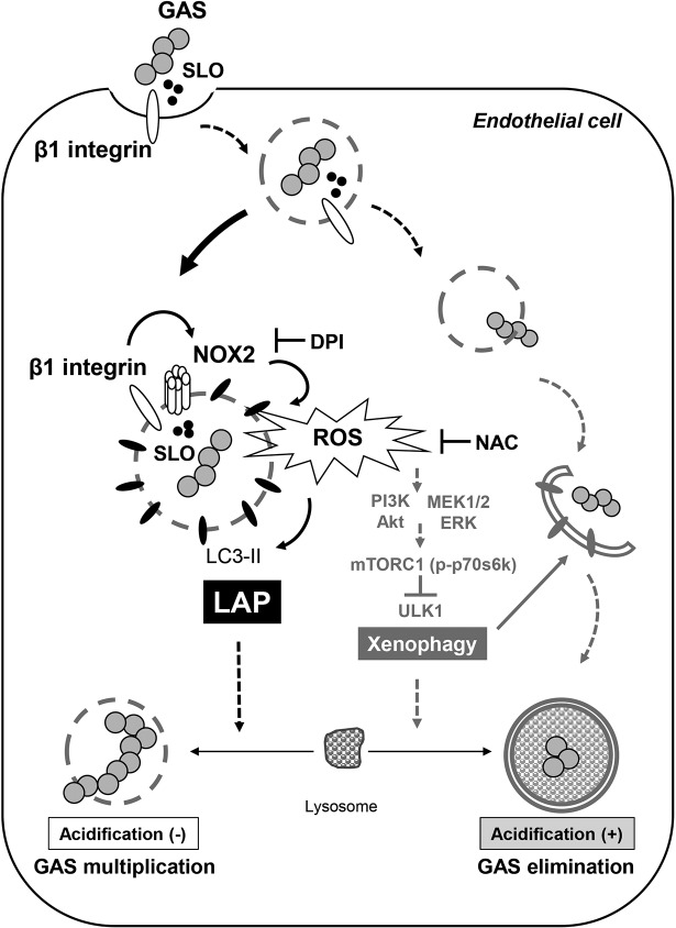 FIG 6