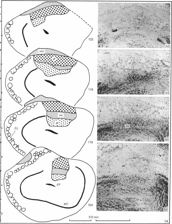 Fig. 14