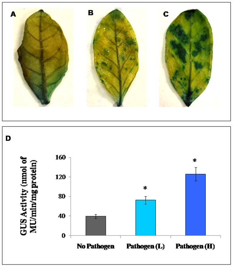 Figure 10