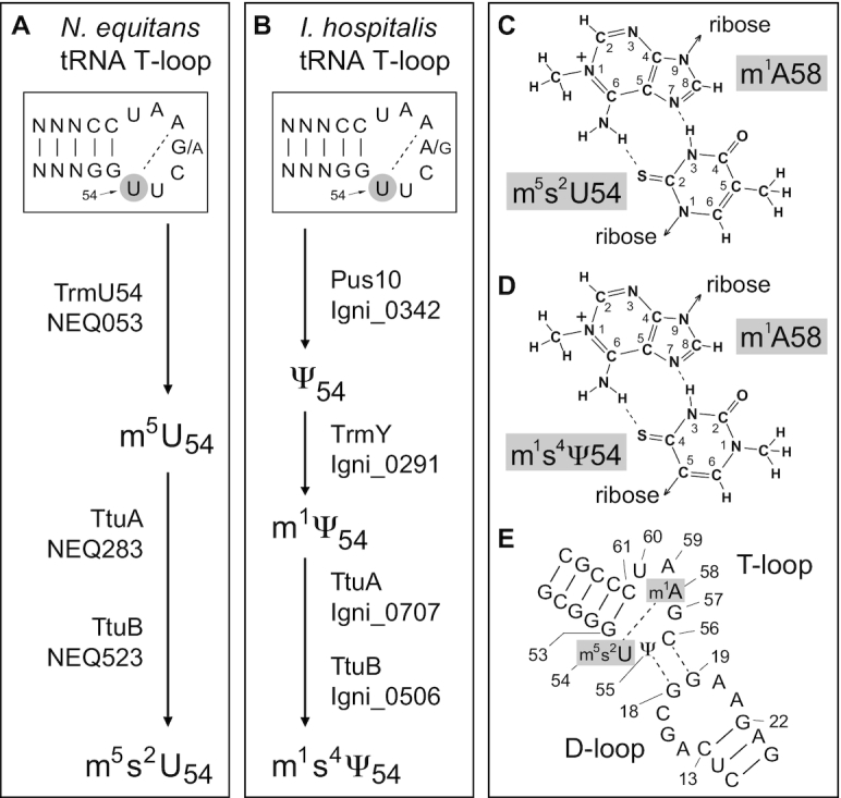 Figure 6.