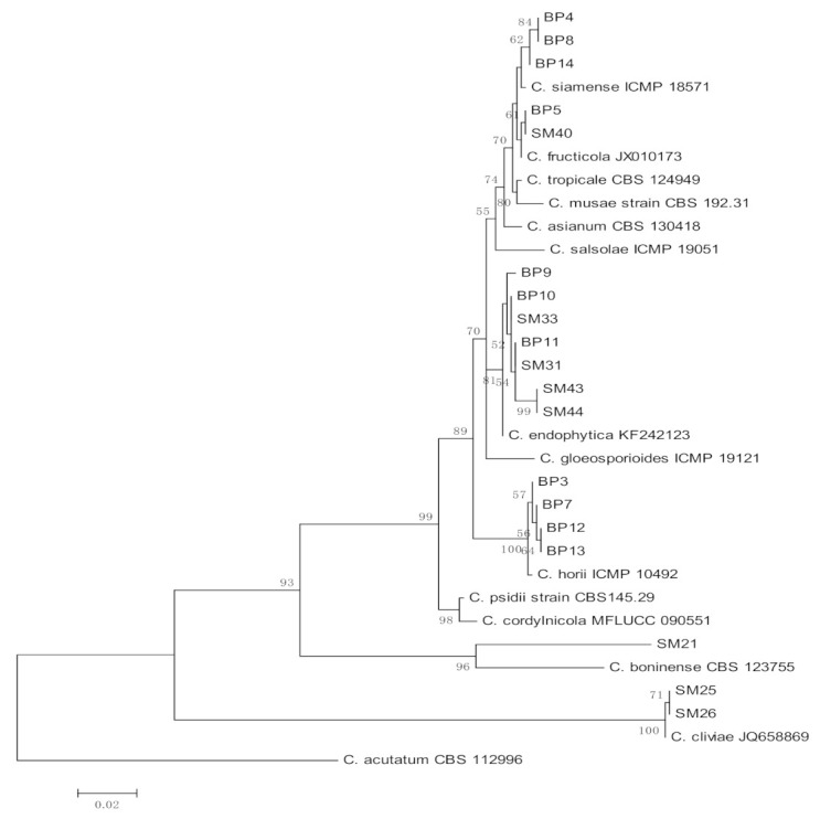 Figure 2