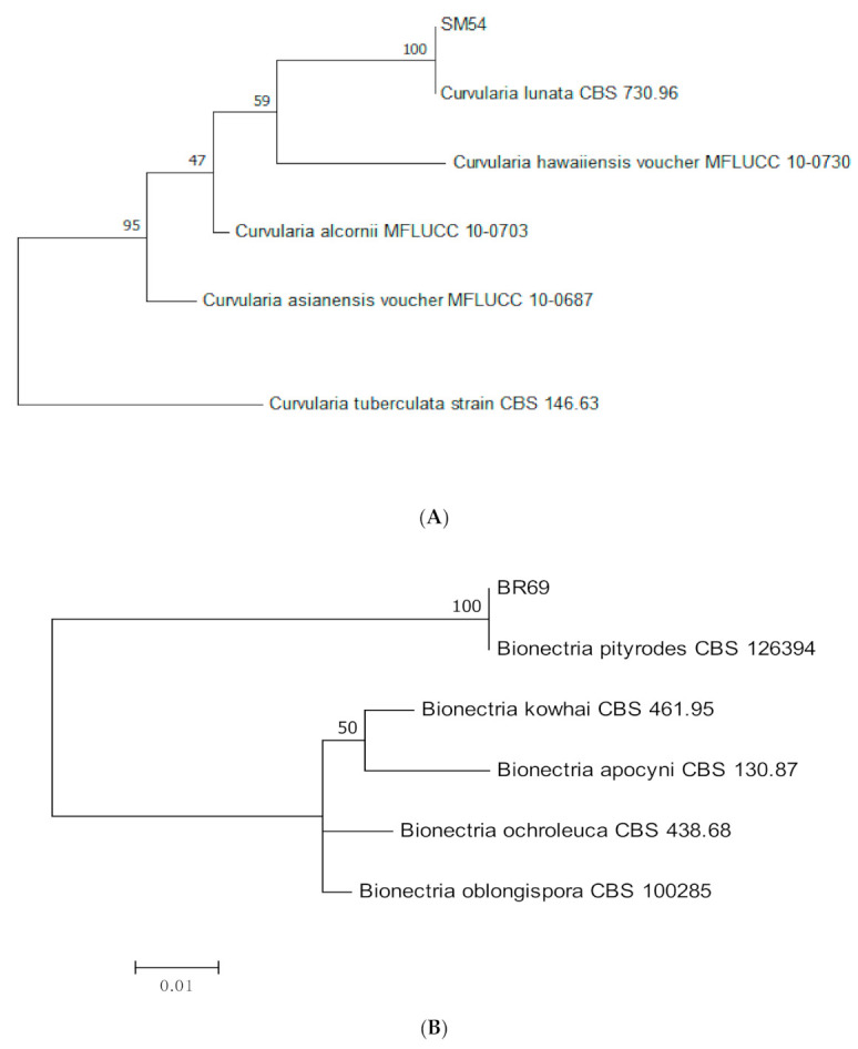 Figure 10