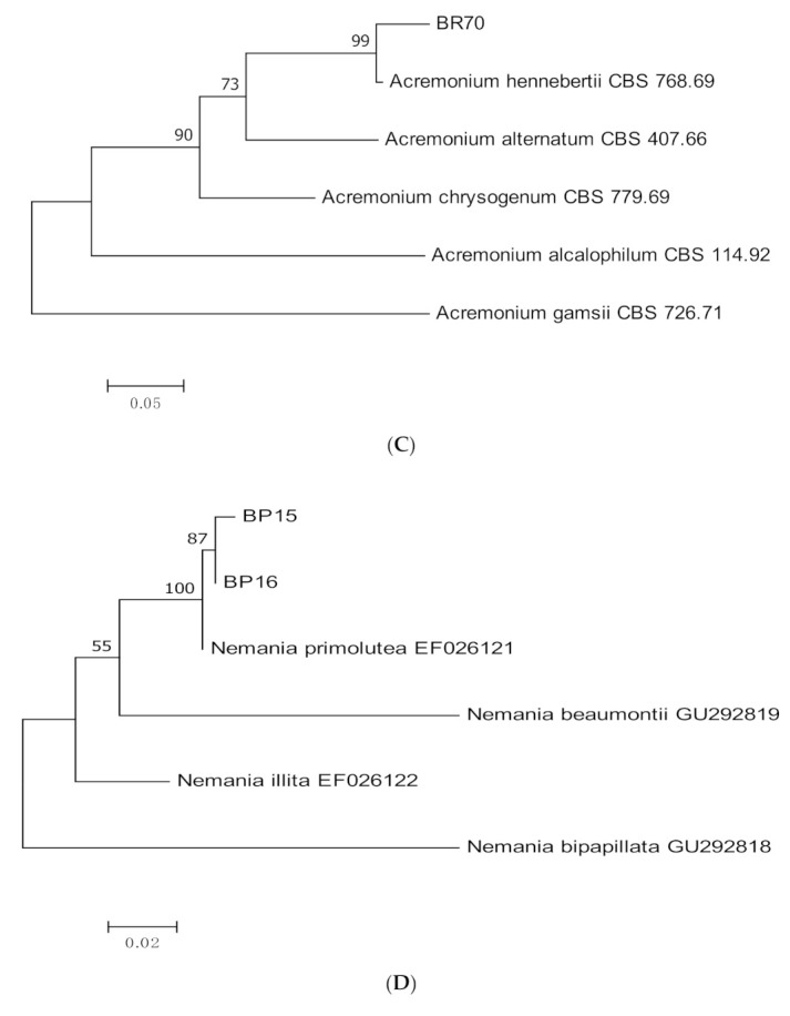 Figure 10