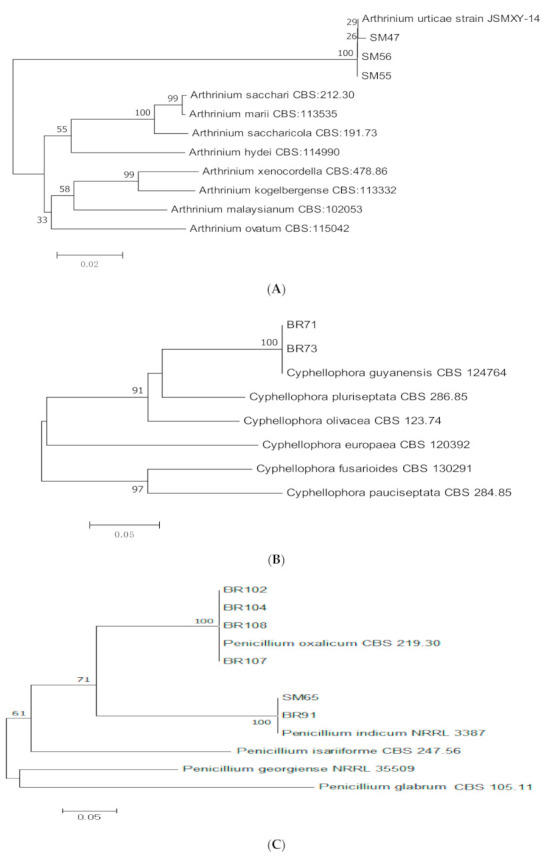 Figure 7