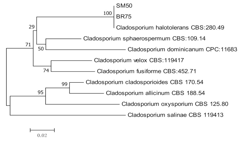 Figure 9