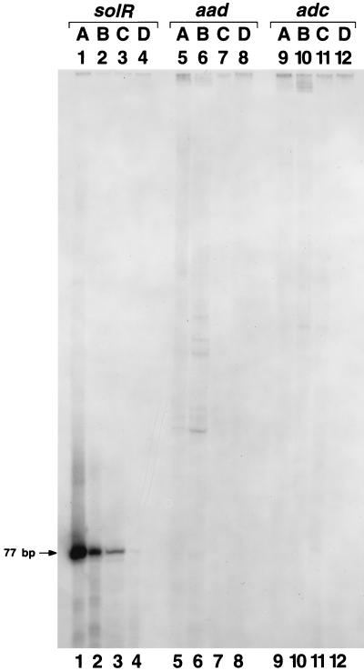 FIG. 7