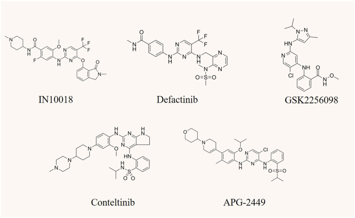 FIGURE 4