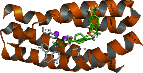 FIG. 4.