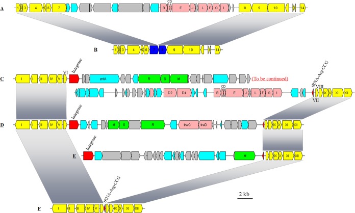 FIG 2