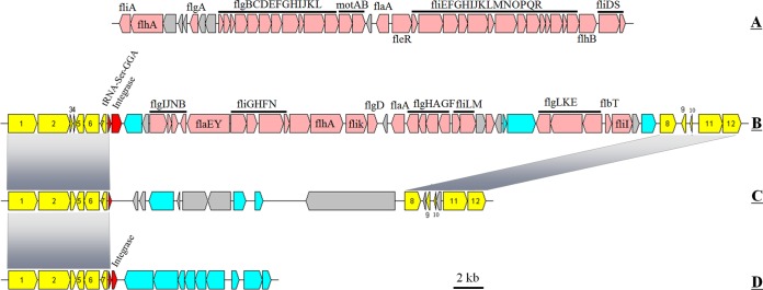 FIG 3