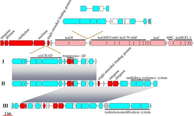 FIG 4