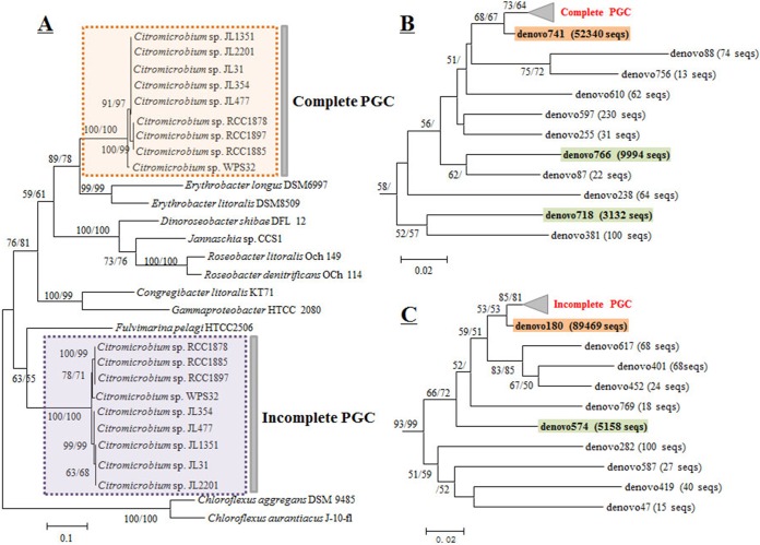 FIG 6