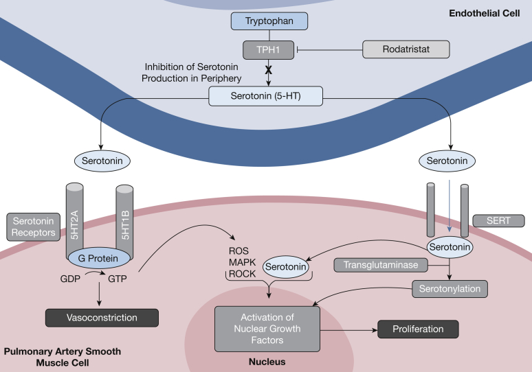 Figure 4