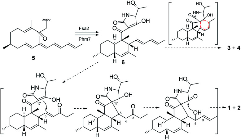 Fig. 6