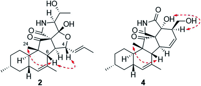 Fig. 4