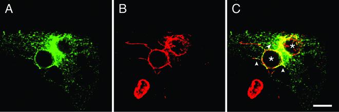 FIG. 8.