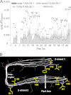 FIGURE 9.