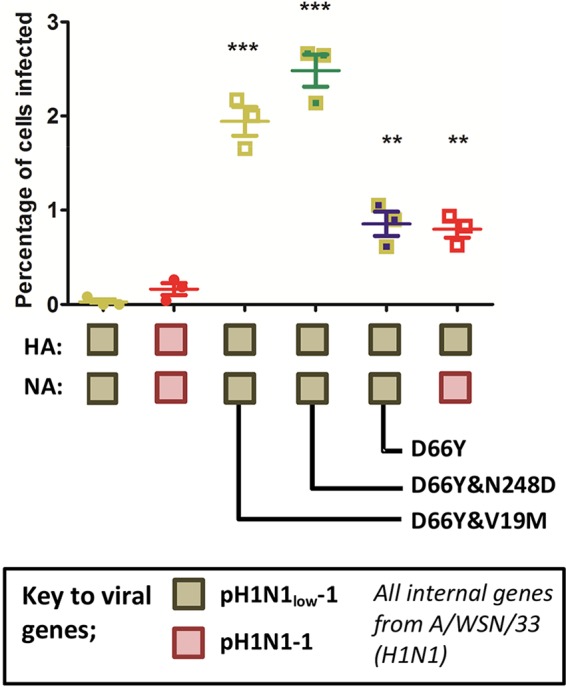 FIG 6