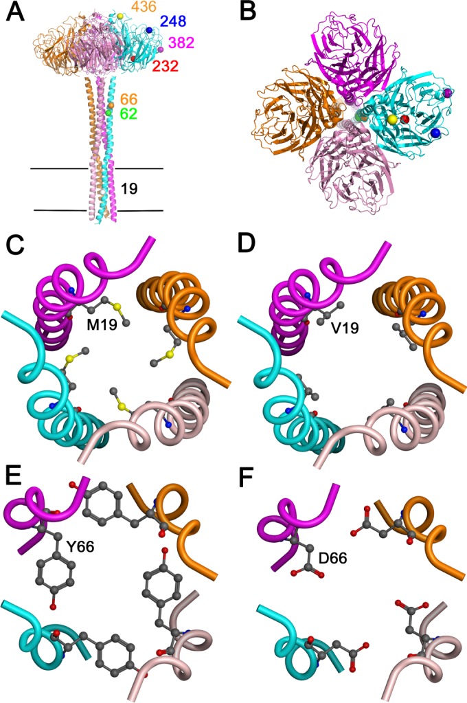 FIG 1