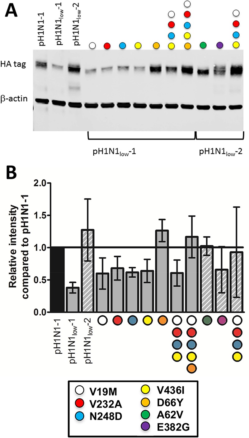 FIG 3