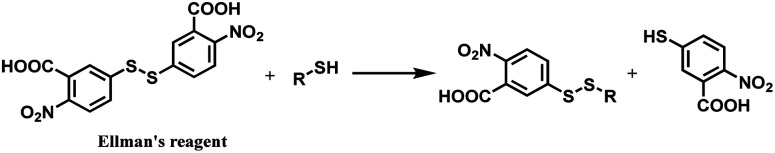 Scheme 18