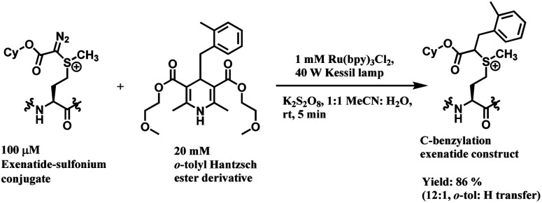 Scheme 54