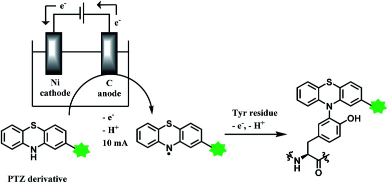 Scheme 47