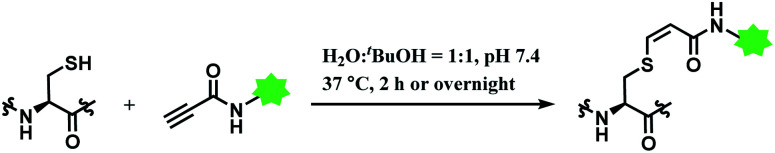 Scheme 16