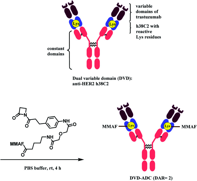 Scheme 8