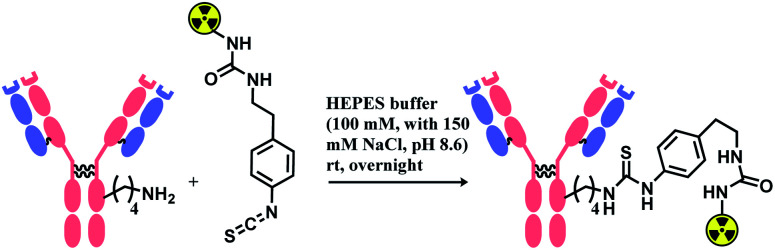 Scheme 5