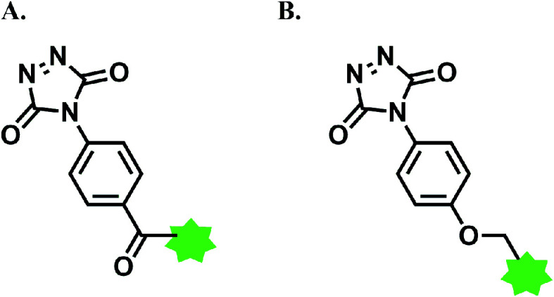 Fig. 12