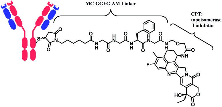 Fig. 5