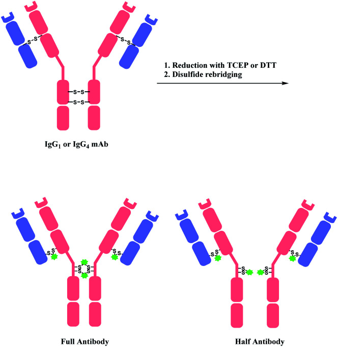 Scheme 28