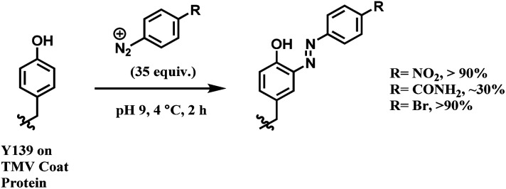 Scheme 39