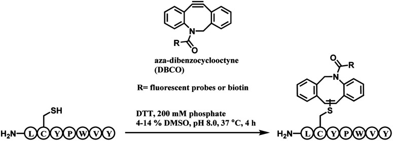 Scheme 22