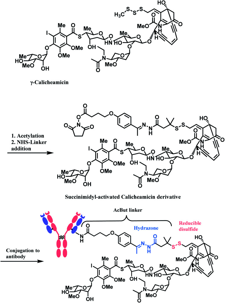 Scheme 3