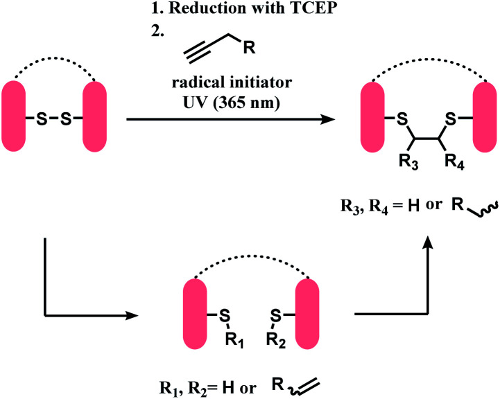 Scheme 35