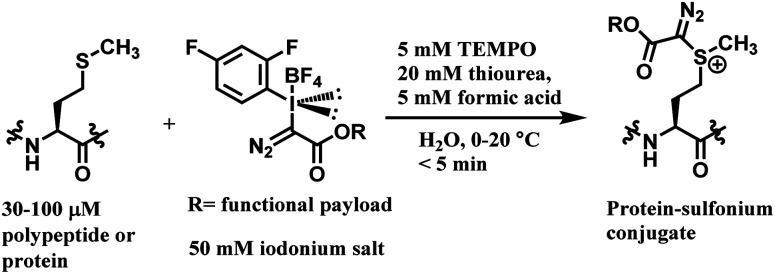 Scheme 53