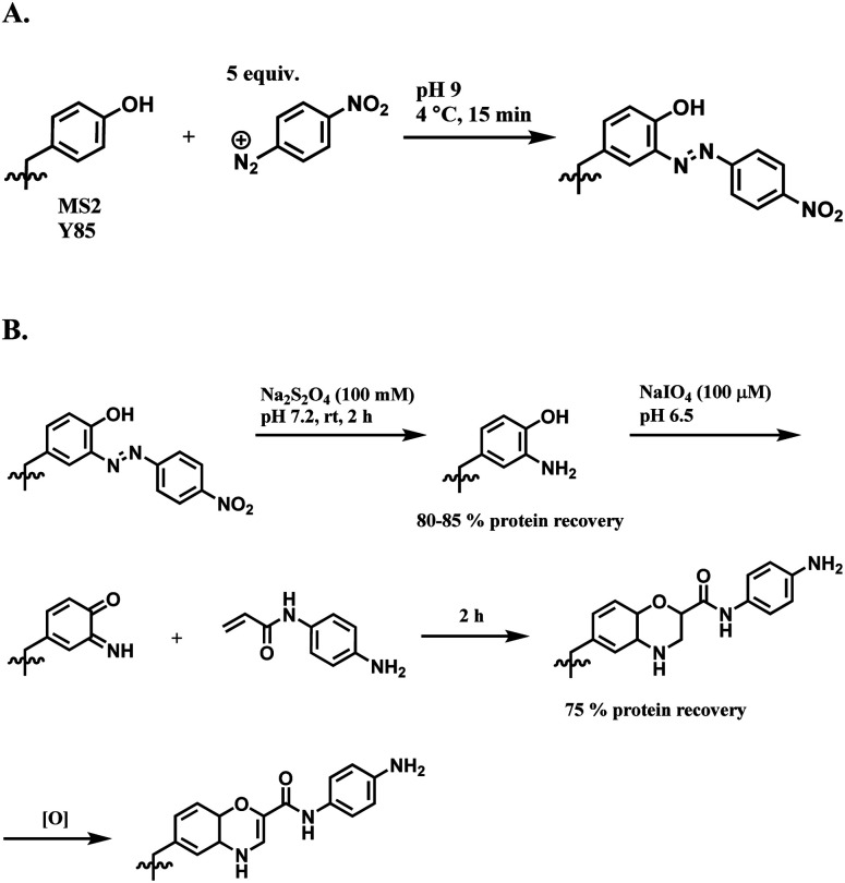 Scheme 38