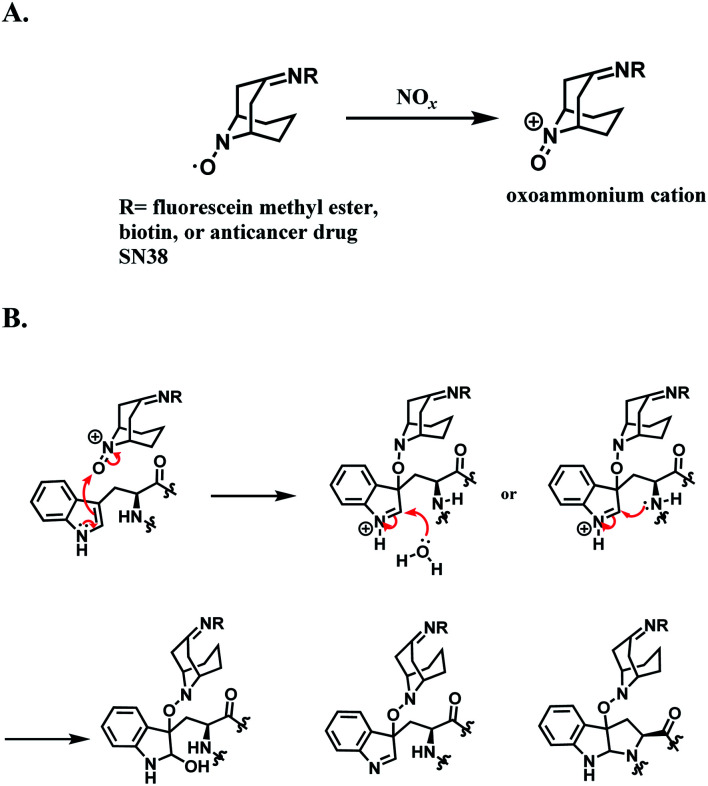 Scheme 49