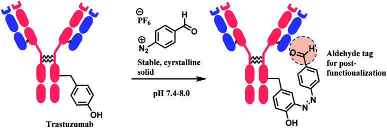 Scheme 41