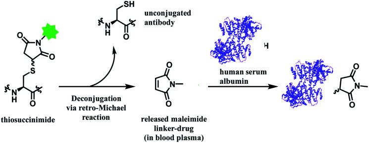 Scheme 13