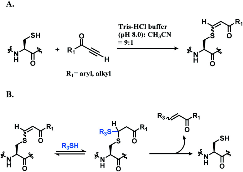 Scheme 15