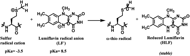 Scheme 55